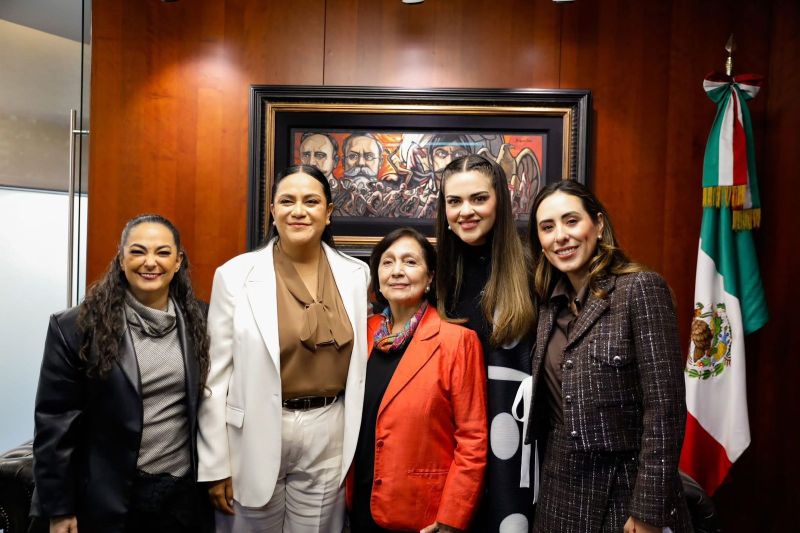 Los programas de bienestar son derechos y garantizan ingreso básico y una vida libre de carencias: Olga Sosa