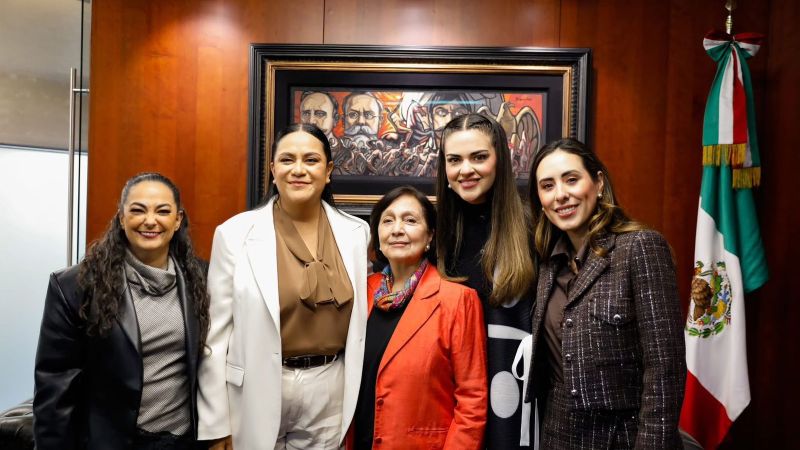 Los programas de bienestar son derechos y garantizan ingreso básico y una vida libre de carencias: Olga Sosa