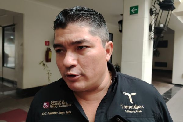 Escasez de reses en Texas acelera demanda de apertura; Pero Tamaulipas sigue sin poder exportar a EU