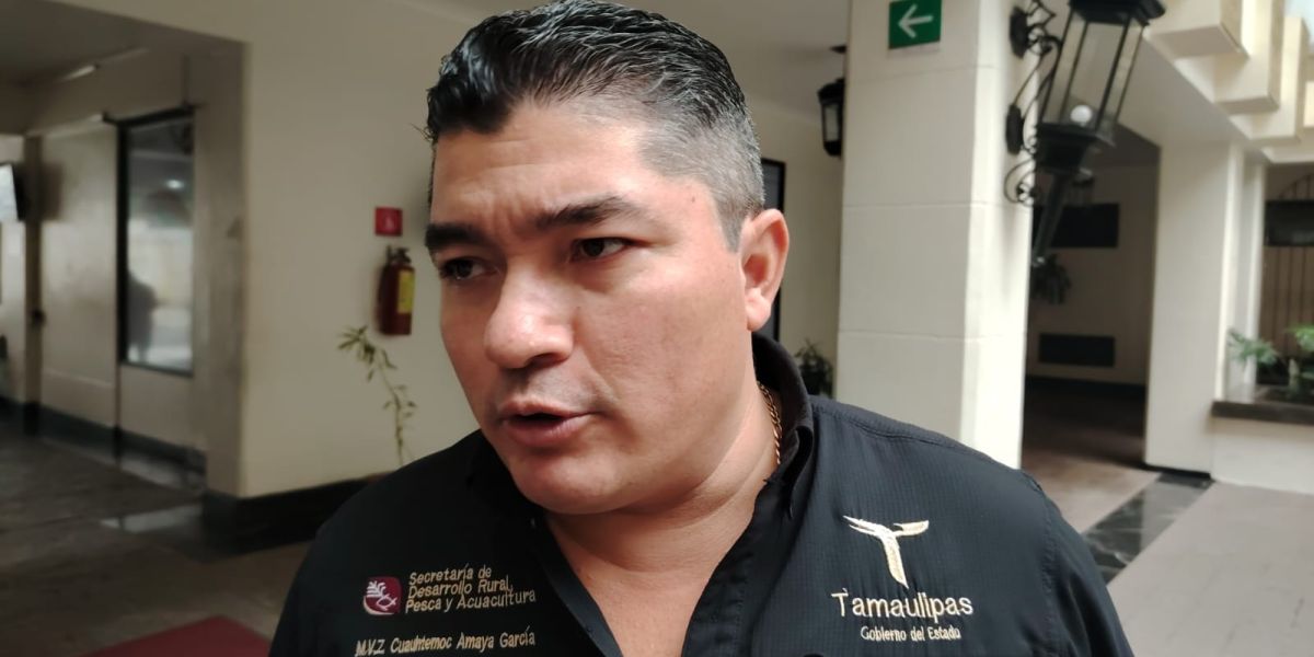 Escasez de reses en Texas acelera demanda de apertura; Pero Tamaulipas sigue sin poder exportar a EU