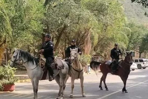 Afirma Secretario de Seguridad que aumenta presencia de la Policía Montada