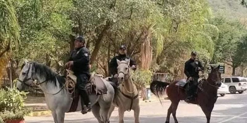 Afirma Secretario de Seguridad que aumenta presencia de la Policía Montada