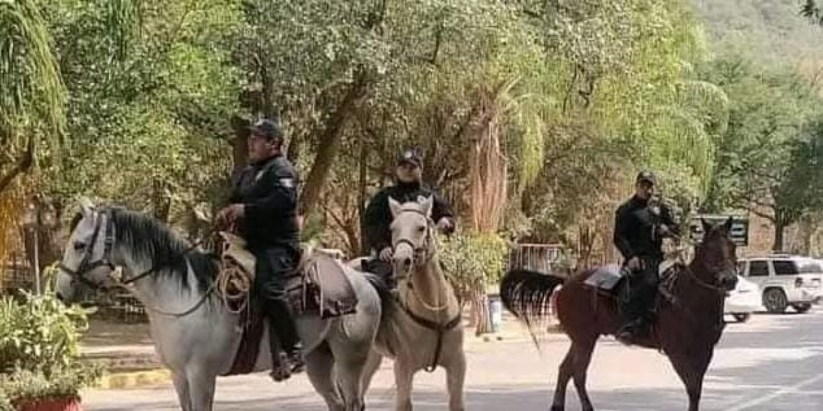 Afirma Secretario de Seguridad que aumenta presencia de la Policía Montada