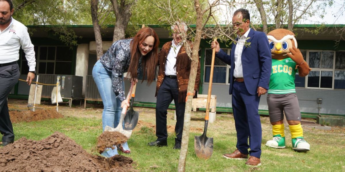 Gobierno municipal culmina campaña de reforestación  2025 con más de 3 mil árboles plantados.