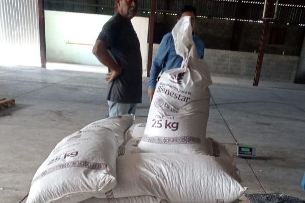 Inicia compra parcial de frijol tras meses de retraso