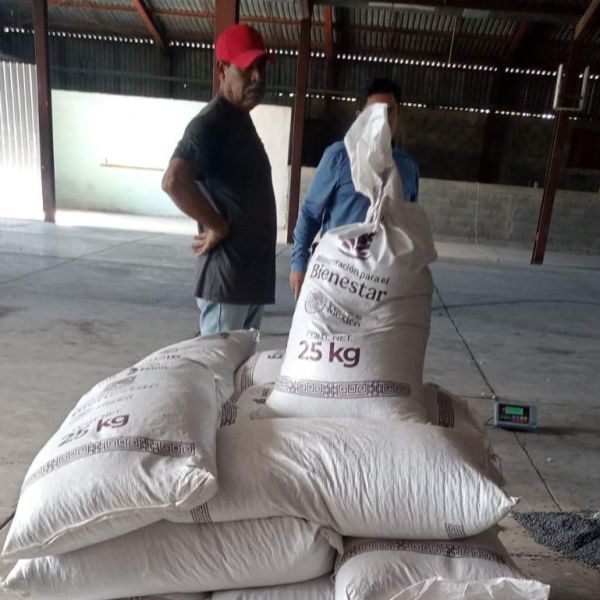 Inicia compra parcial de frijol tras meses de retraso