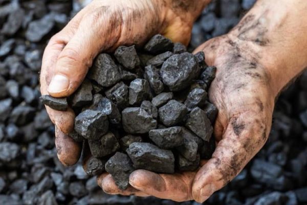 Carboneros denuncian cobro de cuotas y silencio de PROFEPA