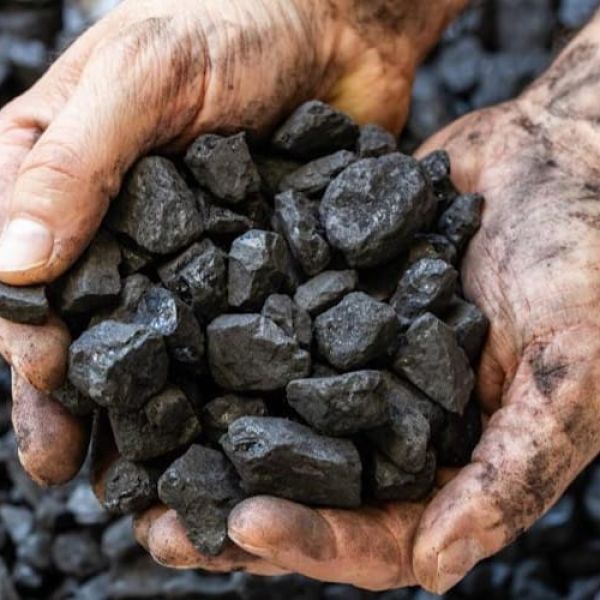 Carboneros denuncian cobro de cuotas y silencio de PROFEPA