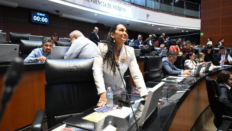 Senado aprueba la Ley Federal de Cine y el Audiovisual; la voz, imagen y trabajo artístico queda protegida ante la IA