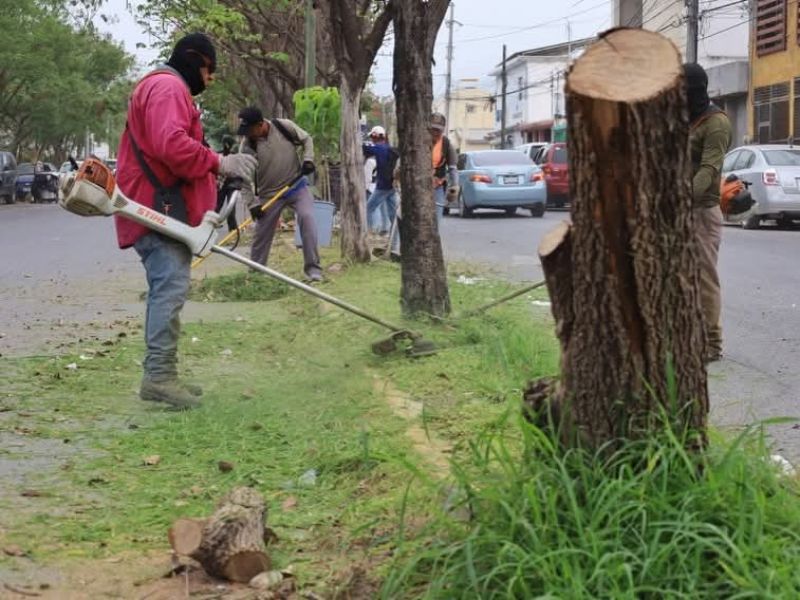 Trabaja gobierno de Gattás en la mejora urbana de la Capital