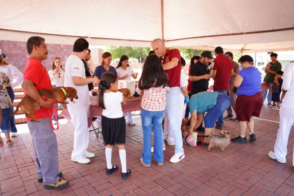 Gobierno de Carmen Lilia Canturosas refrenda compromiso con bienestar animal con exitosa jornada de vacunación y desparasitación