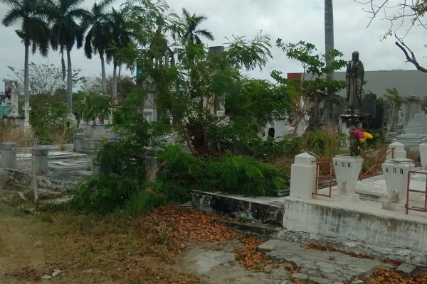 Exigen limpieza permanente en los panteones de Tampico
