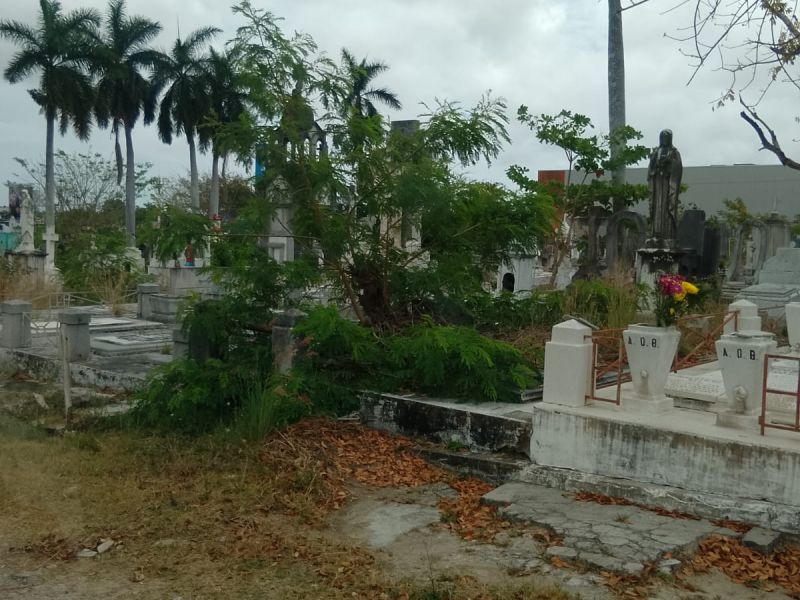 Exigen limpieza permanente en los panteones de Tampico