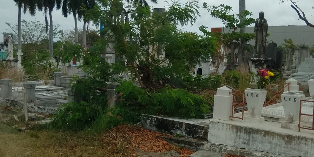 Exigen limpieza permanente en los panteones de Tampico