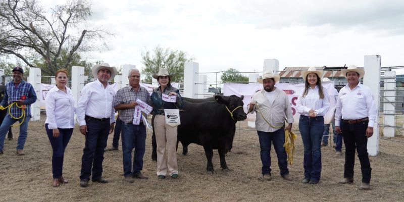 Impulsa Carmen Lilia Canturosas la ganadería local con el 2.º concurso del novillo gordo