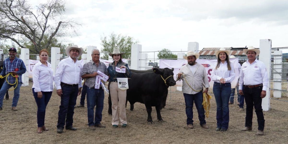 Impulsa Carmen Lilia Canturosas la ganadería local con el 2.º concurso del novillo gordo