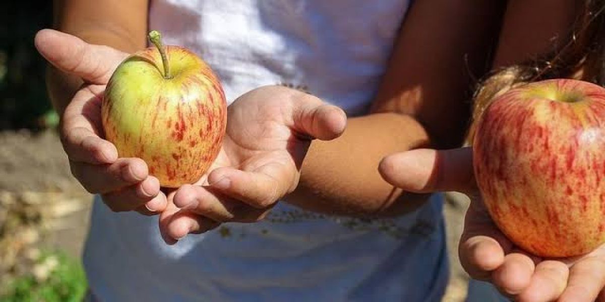 Niños deben consumir al menos 10 gramos de frutas y verduras al día