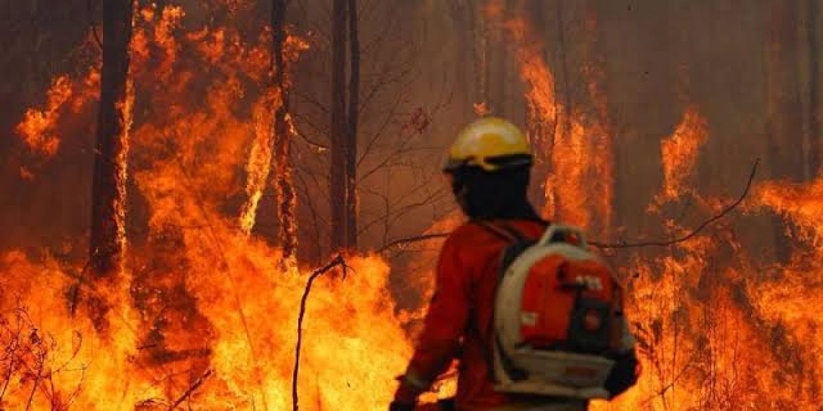 Bolivia declara emergencia nacional por incendios forestales