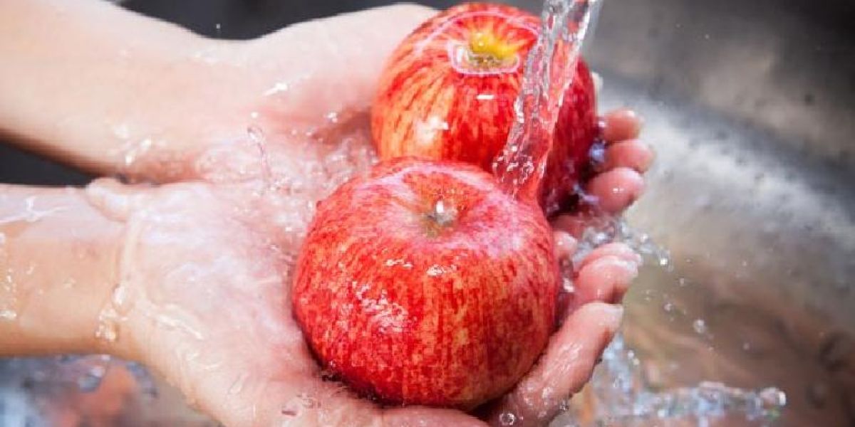 Así debes lavar las manzanas para combatir infecciones: Harvard
