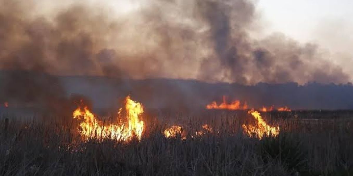 Protección Civil alerta sobre incendios de zacatal