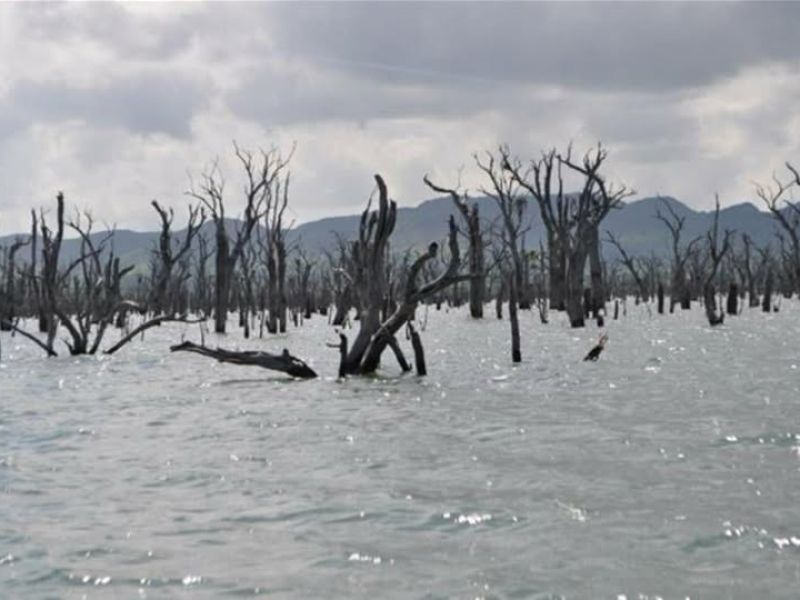 Llama el PT a la prevención ante riesgo  de inundaciones en el sur de Tamaulipas