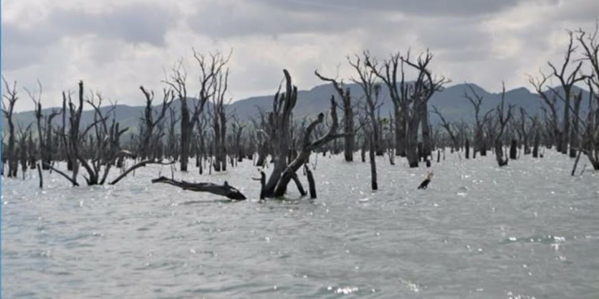 Llama el PT a la prevención ante riesgo  de inundaciones en el sur de Tamaulipas