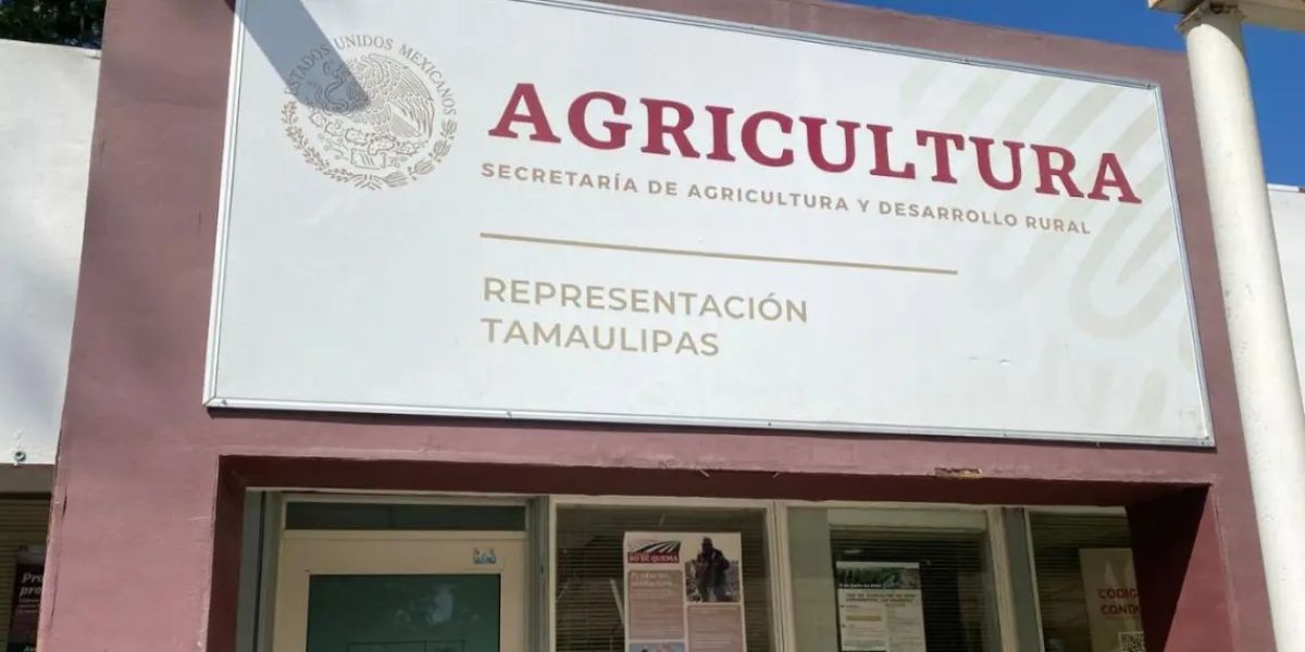 Denuncian red de coyotaje en SADER federal