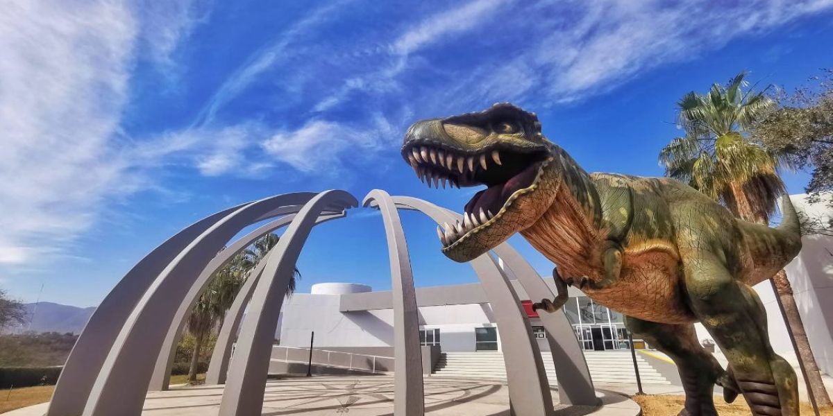 El Tamux renace y tiene nueva imagen renovado, más moderno y con récord de visitantes este verano