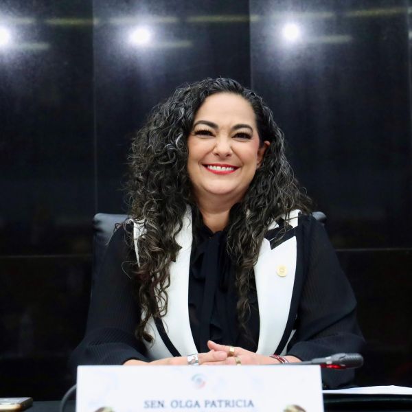 Hay gobernabilidad, estabilidad política y avances en seguridad: Olga Sosa