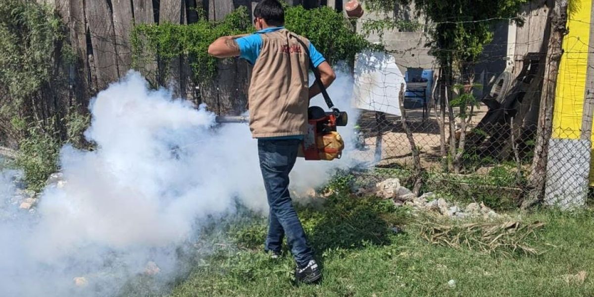 Altiplano de Tamaulipas blindado contra el dengue
