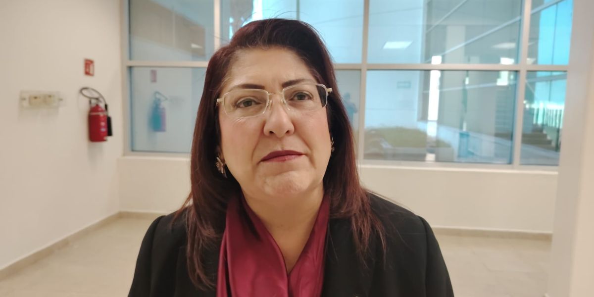 Pide diputada no generalizar en investigación por huachicol fiscal