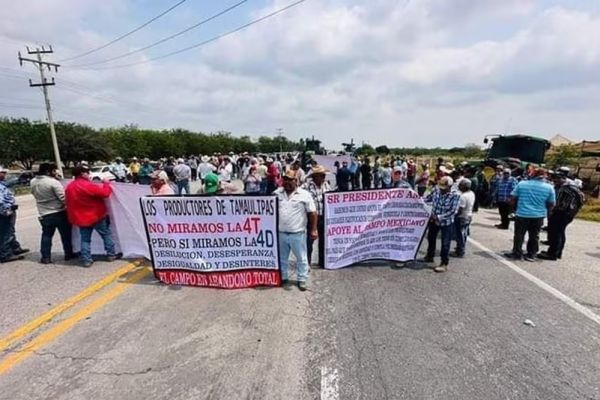 Tamaulipas busca soluciones ante la volatilidad del precio del sorgo