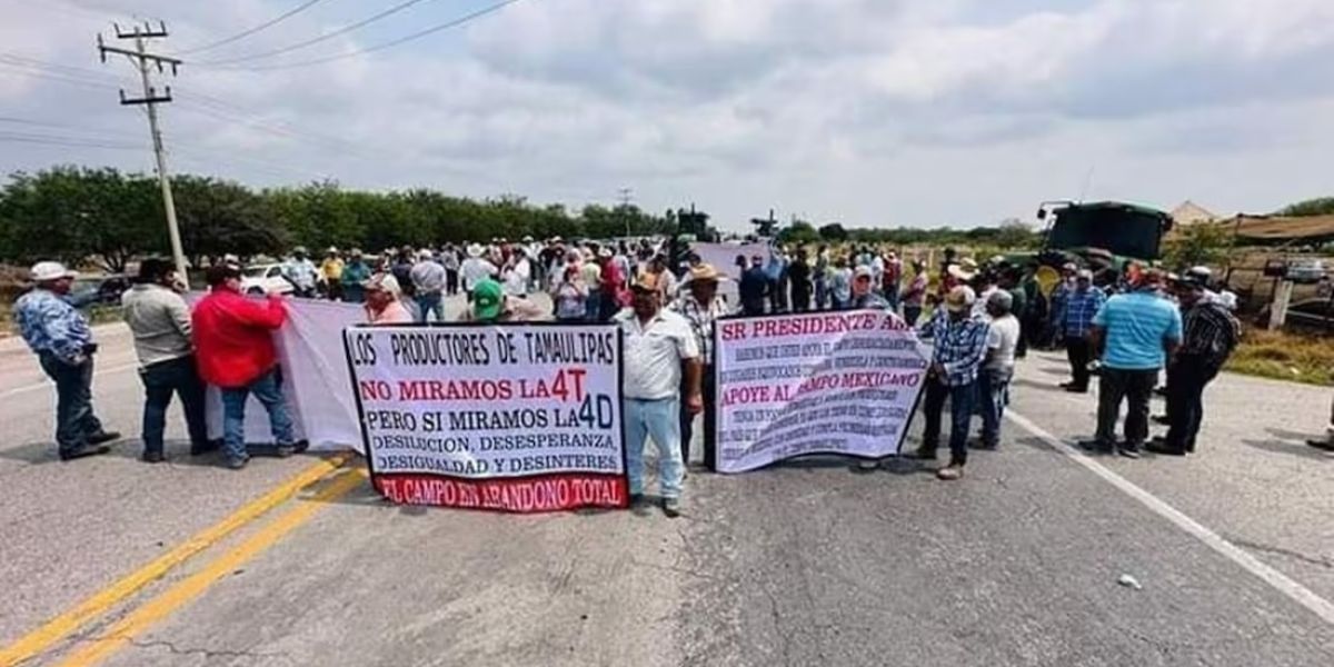 Tamaulipas busca soluciones ante la volatilidad del precio del sorgo