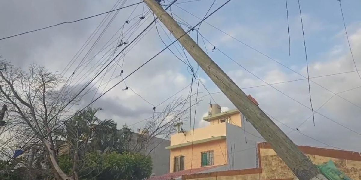 Árbol y postes caídos ponen en riesgo a familias en Miramapolis