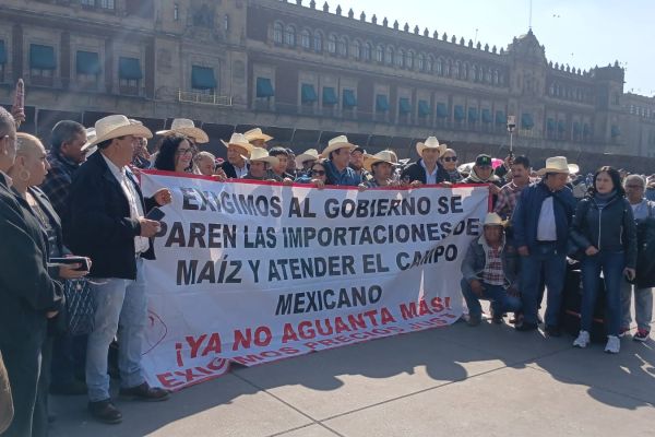 Manifestantes tamaulipecos llegan a Palacio Nacional