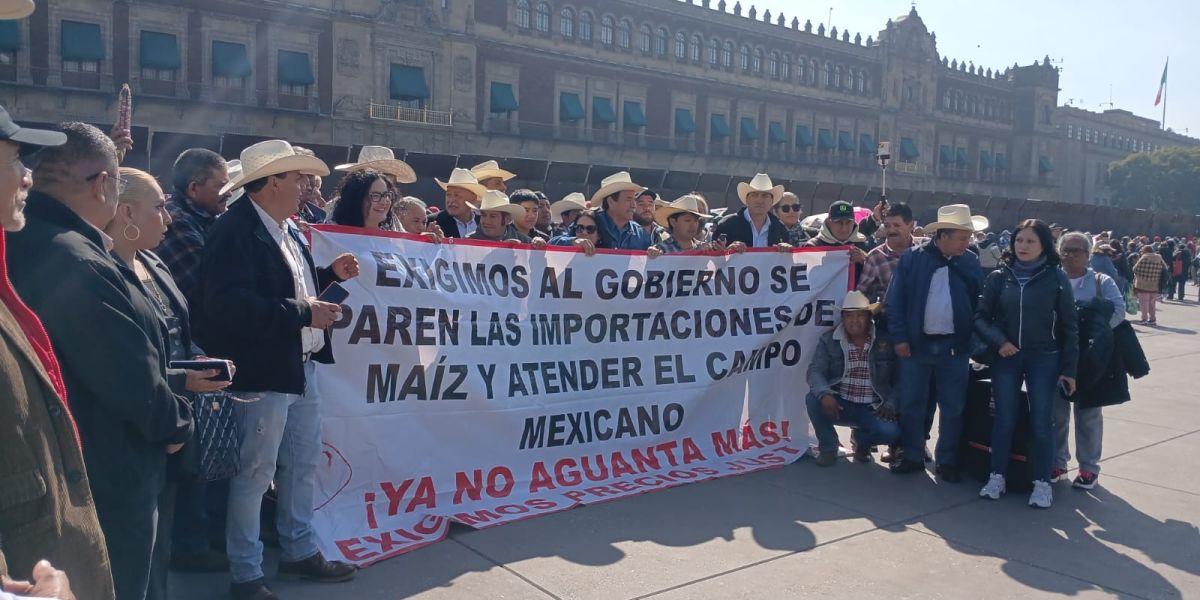 Manifestantes tamaulipecos llegan a Palacio Nacional