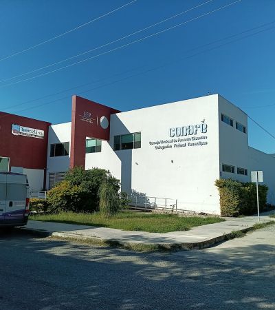 Protestan trabajadores del Conafe ante recortes y rezagos laborales