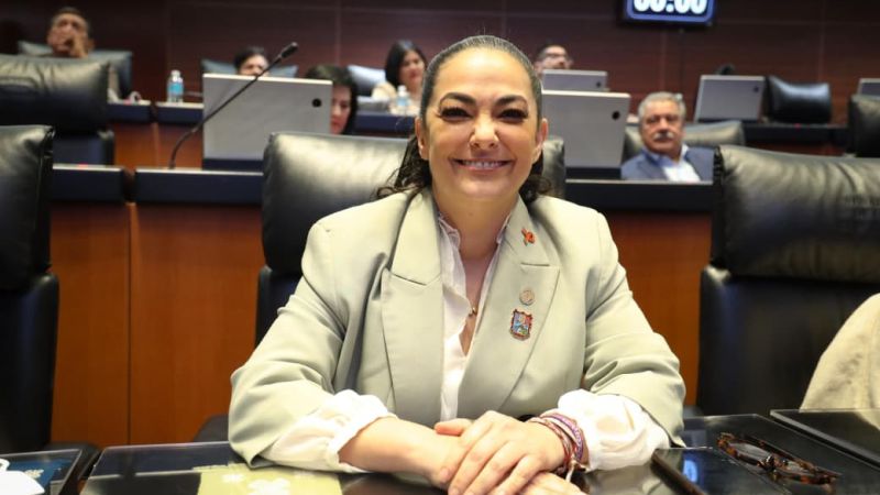 Aprueba Senado iniciativa de la senadora Olga Sosa en defensa de los consumidores