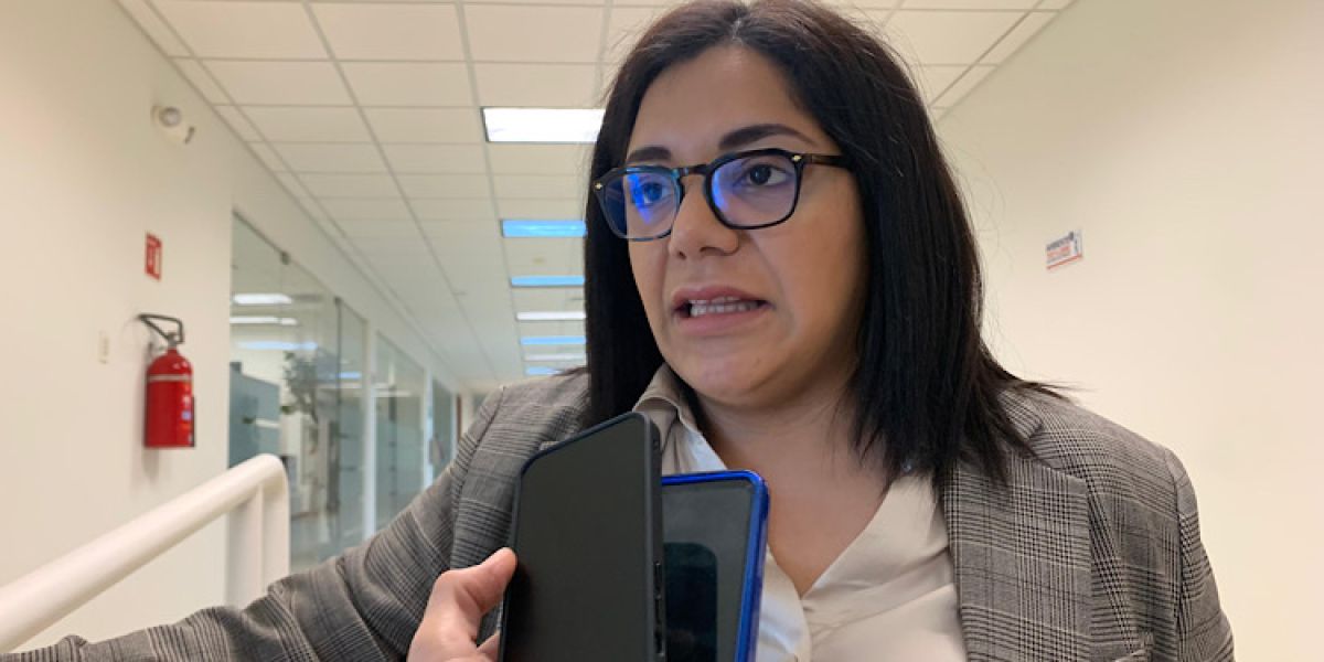 Crean registro estatal y aplicarán medidas de protección aun sin denuncia para mujeres, adolescentes, niñas y niños