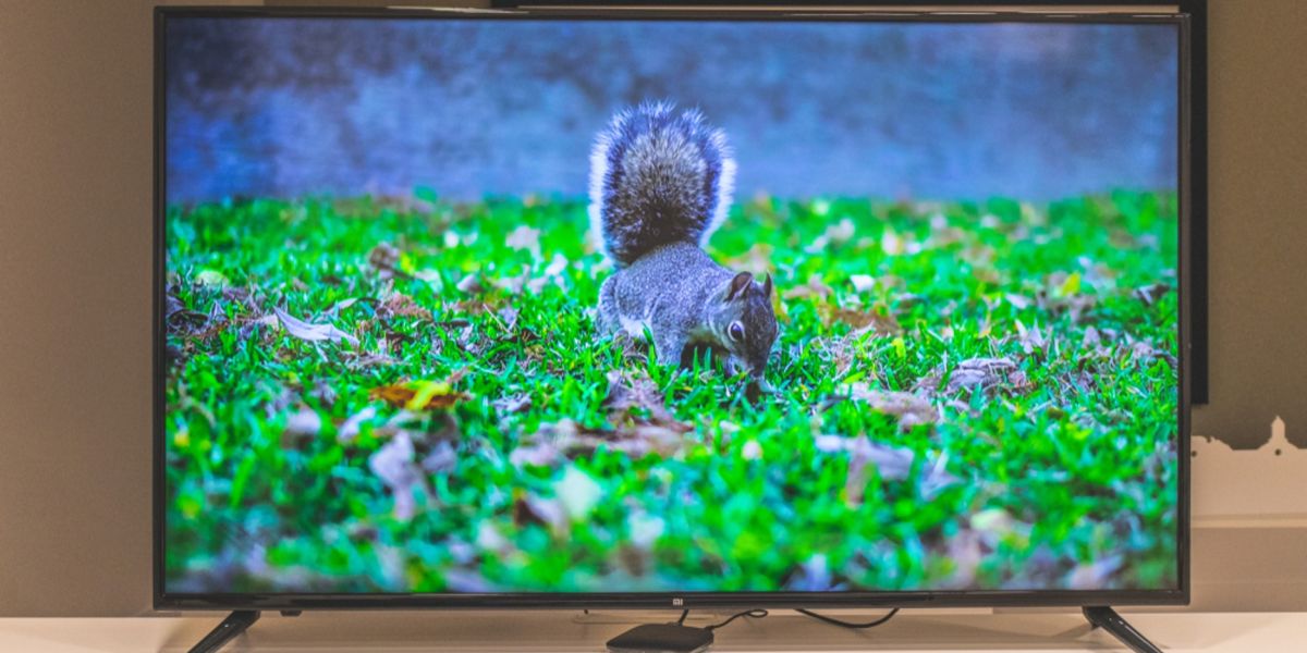 Guía para ubicar correctamente tu pantalla de 50 pulgadas en casa