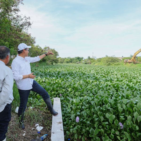 Impulsa Erasmo acciones de desazolve en lagunas y retiro de maleza acuática