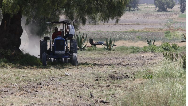 ‘Inundan’ a Texas; secan a Tamaulipas 