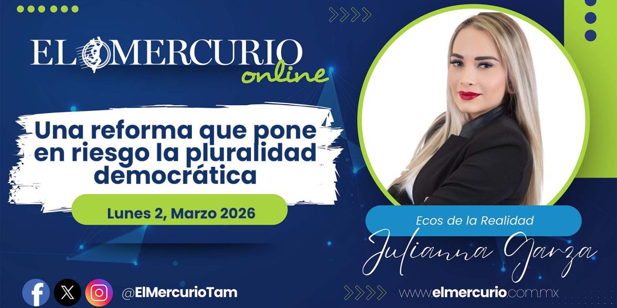 Una reforma que pone en riesgo la pluralidad democrática
