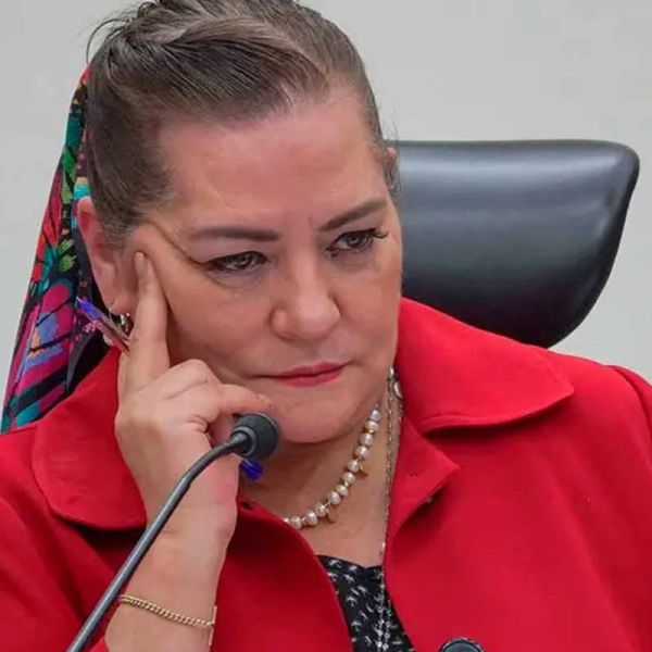 Diputados ya sabían de las irregularidades de Taddei