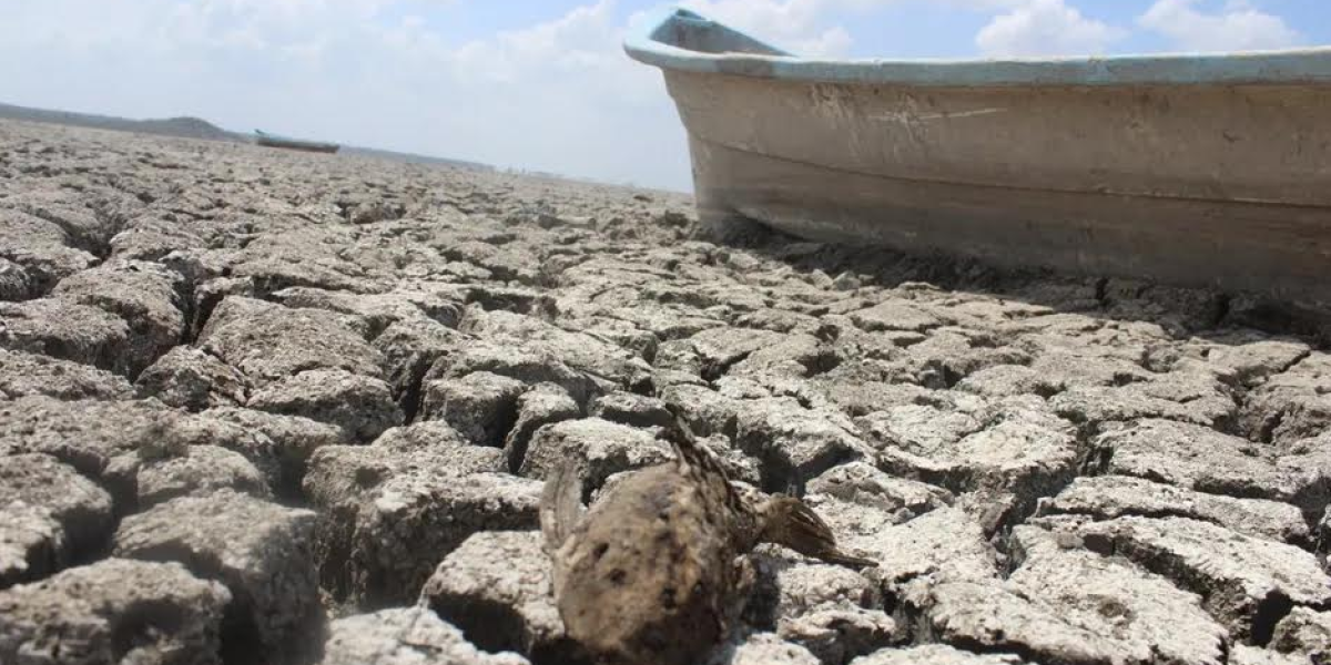Tamaulipas, a un paso de Sequía Excepcional