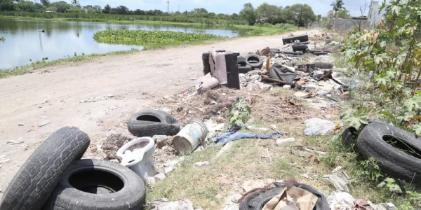 Se seca el sur; pierde ya 41 hectáreas de lagunas