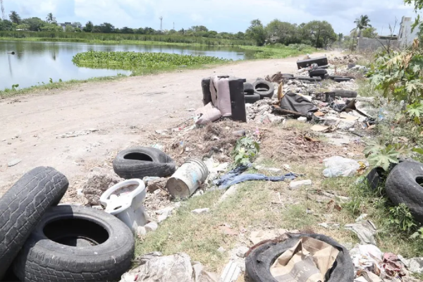 Se seca el sur; pierde ya 41 hectáreas de lagunas