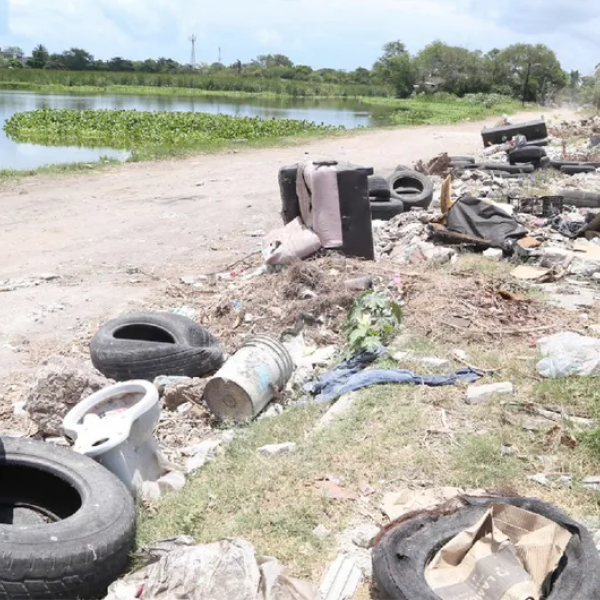 Se seca el sur; pierde ya 41 hectáreas de lagunas