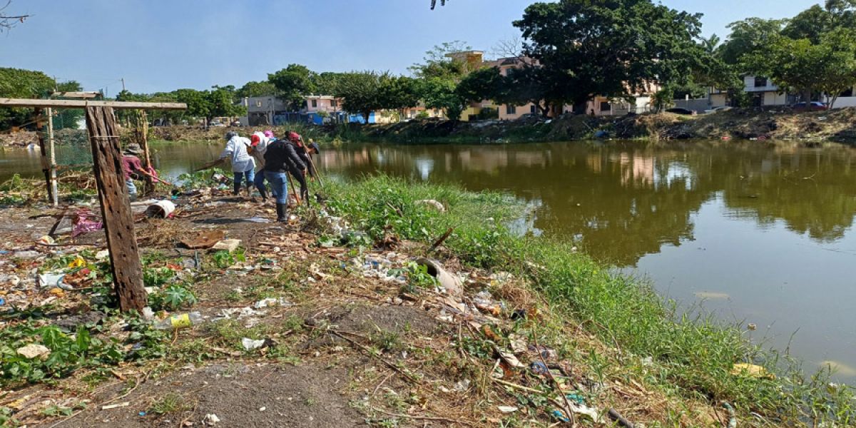 Urge la protección de sistemas lagunarios