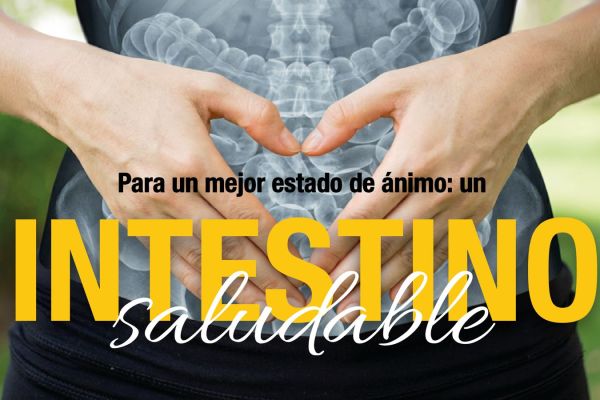 Para un mejor estado de ánimo:  un intestino saludable